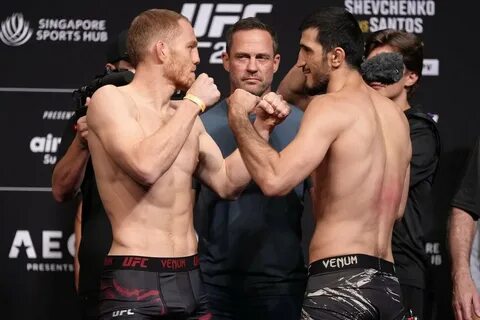 Телеграмм боев ufc