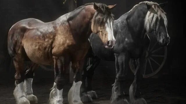 Ред дед редемпшен 2 лошади. Red dead redemption 2 лошади. Red dead redemption 2 лошади. Самая большая лошадь в рдр 2. Тяжеловоз конь red dead redemption 2.