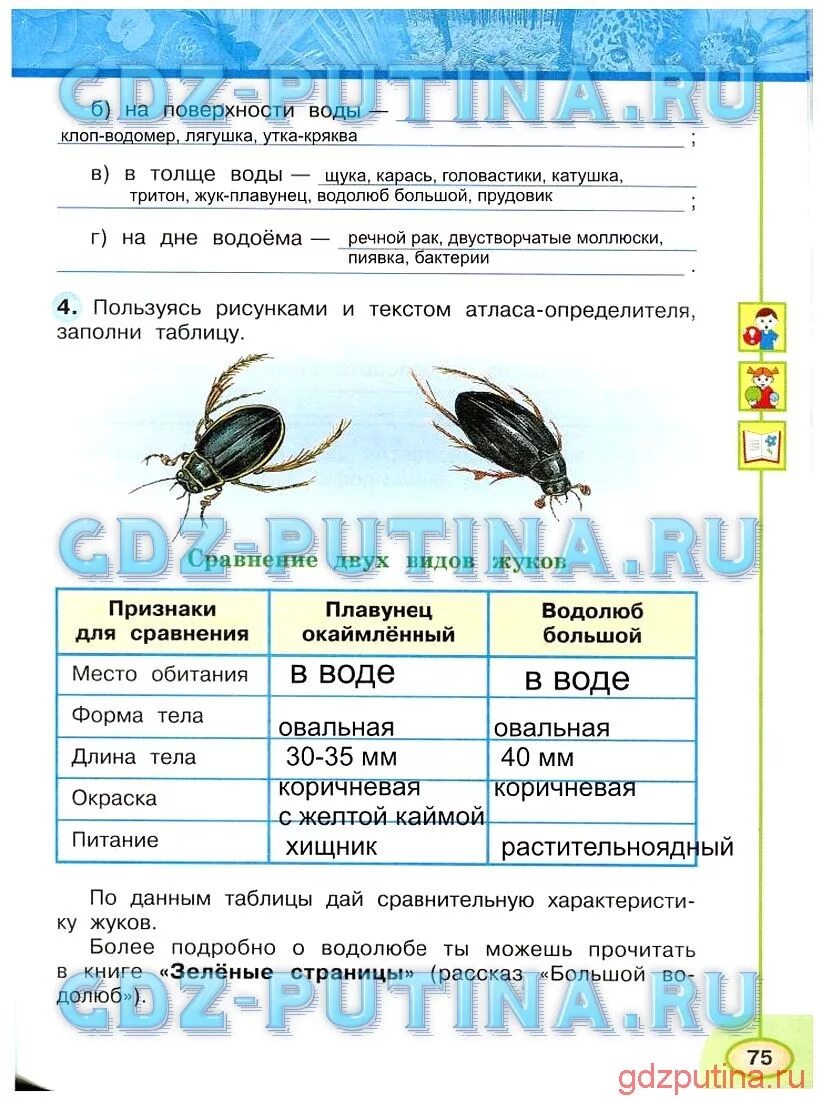 Разнообразие животных 3 класс рабочая тетрадь ответы. Тетрадь окружающий мир 3 класс плешаков новицкая 1 часть стр.75. окружающий мир 3 класс рабочая тетрадь плешаков новицкая стр 75. окружающий мир рабочая тетрадь плешаков 1 часть 3 класс страница 75 гдз. окружающий мир плешаков рабочая тетрадь третий класс страница 75.