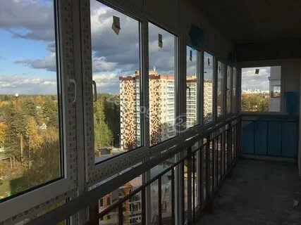 Детская мелодия леса