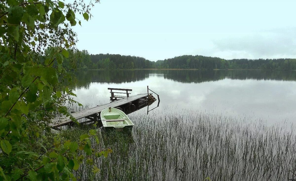 Озеро Чухонка в Парголово. Покровское озеро п Песь. Вонозеро Подпорожского района. Покровское озеро. Покровское озеро большое