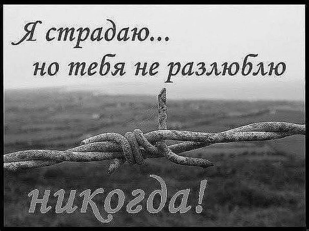 Не страдать действия. Я тебя дождусь. Дождусь тебя любимый. Открытки из тюрьмы. Страдаю по тебе.