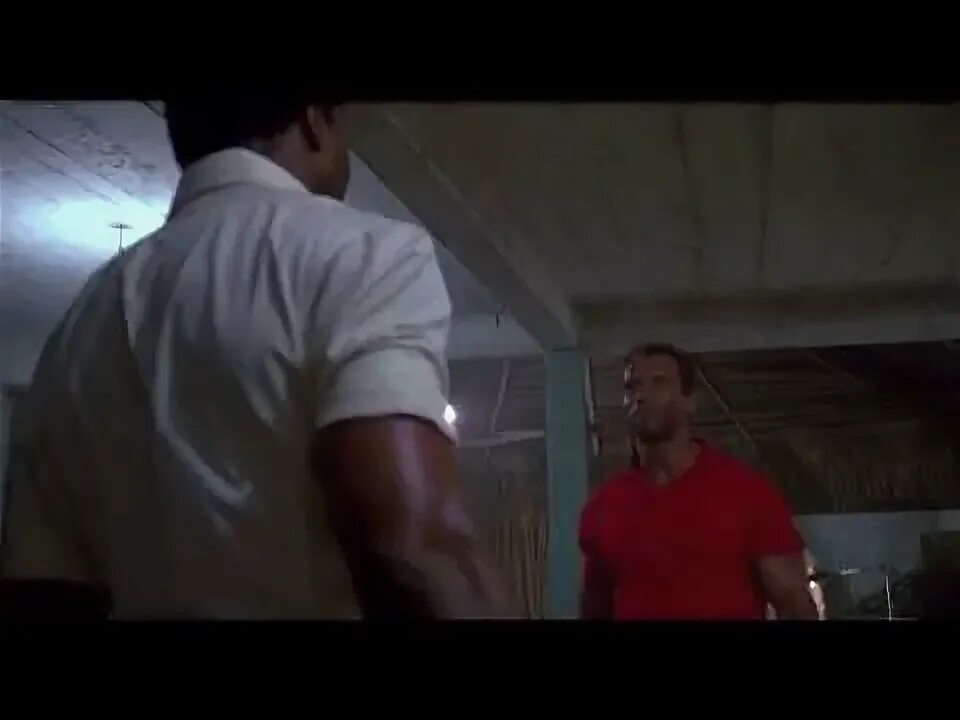 Хищник рукопожатие. Хищник рукопожатие. Хищник рукопожатие. Шварценеггер рукопожатие. Хищник рукопожатие.