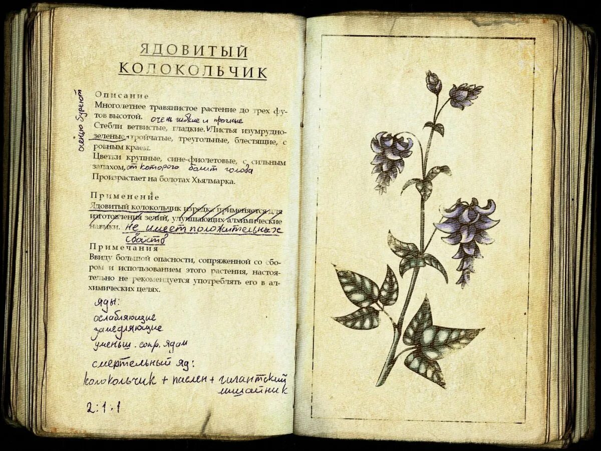 Манга ядовитый цветок герцогского