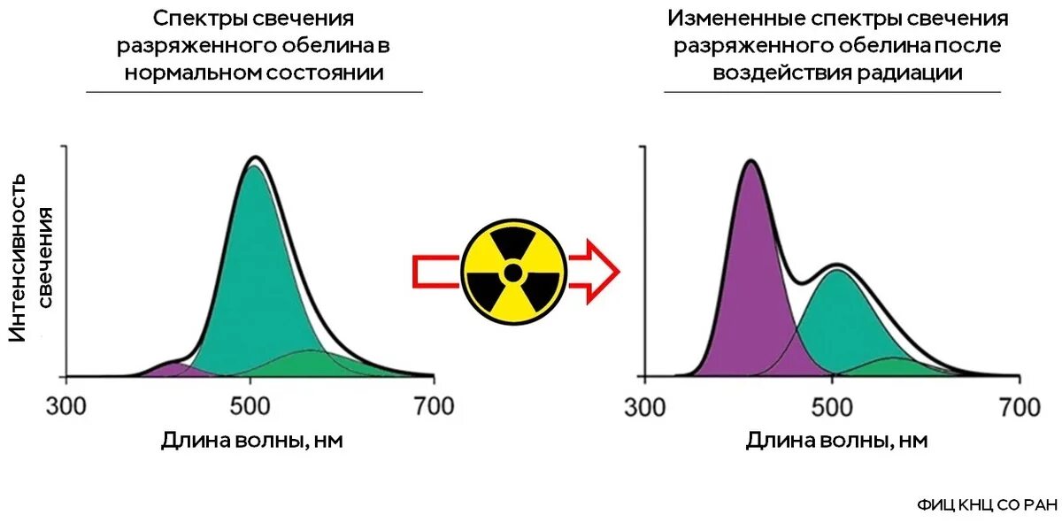 Распределение потока нейтронов в сфере. Изменение спектра. Спектры областной флуоресценции. Зависимость спектра от периода импульсов. Спектра сигнала с кодом баркера.