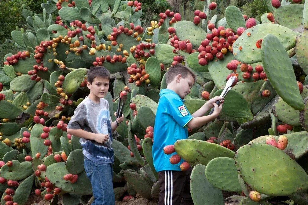 Съедобен ли человек
