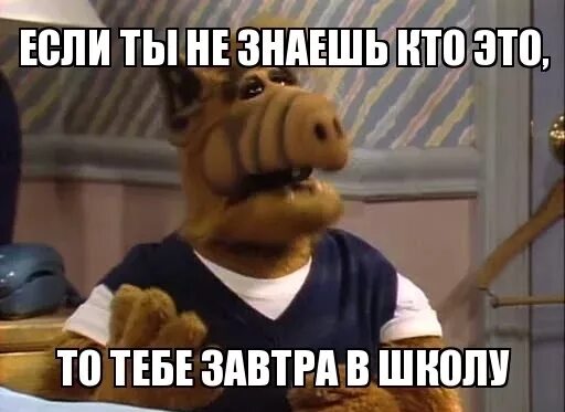 Завтра в школу том. Завтра в школу. Завтра в школу приколы. Ура завтра в школу. Завтра не в школу гифка.