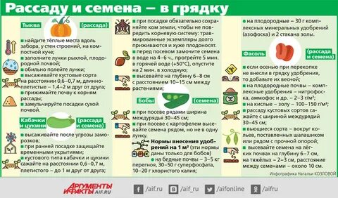 Что садить после тыквы