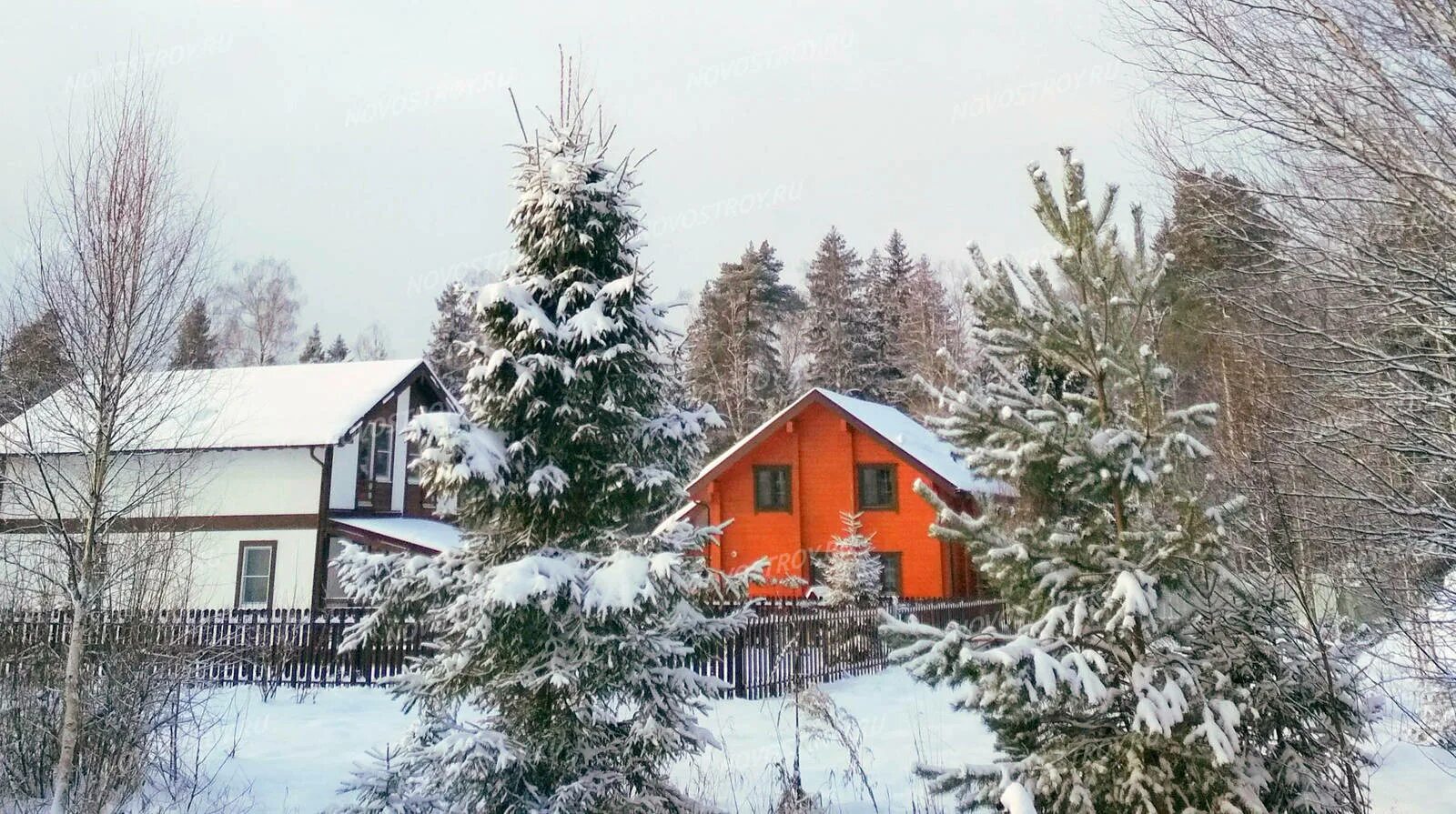 Никольский родник пензенская область. Лесной никольск. Лисицкий бор тверская область. Кп никольское лесное. Талицкий лес никольский район.