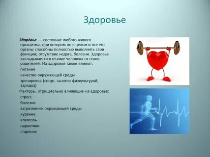 Здоровье это состояние организма при котором