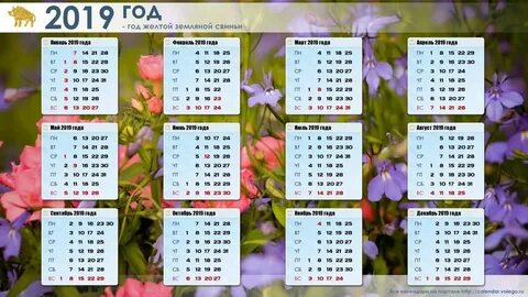 Календарь 2019 года чей год
