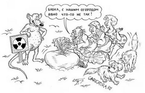 Смешные сказки репка