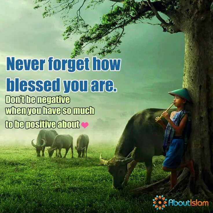 Just look around. Немое кино фильм 1976. Just look around. Граффити zevs. Looking for the person who made this.