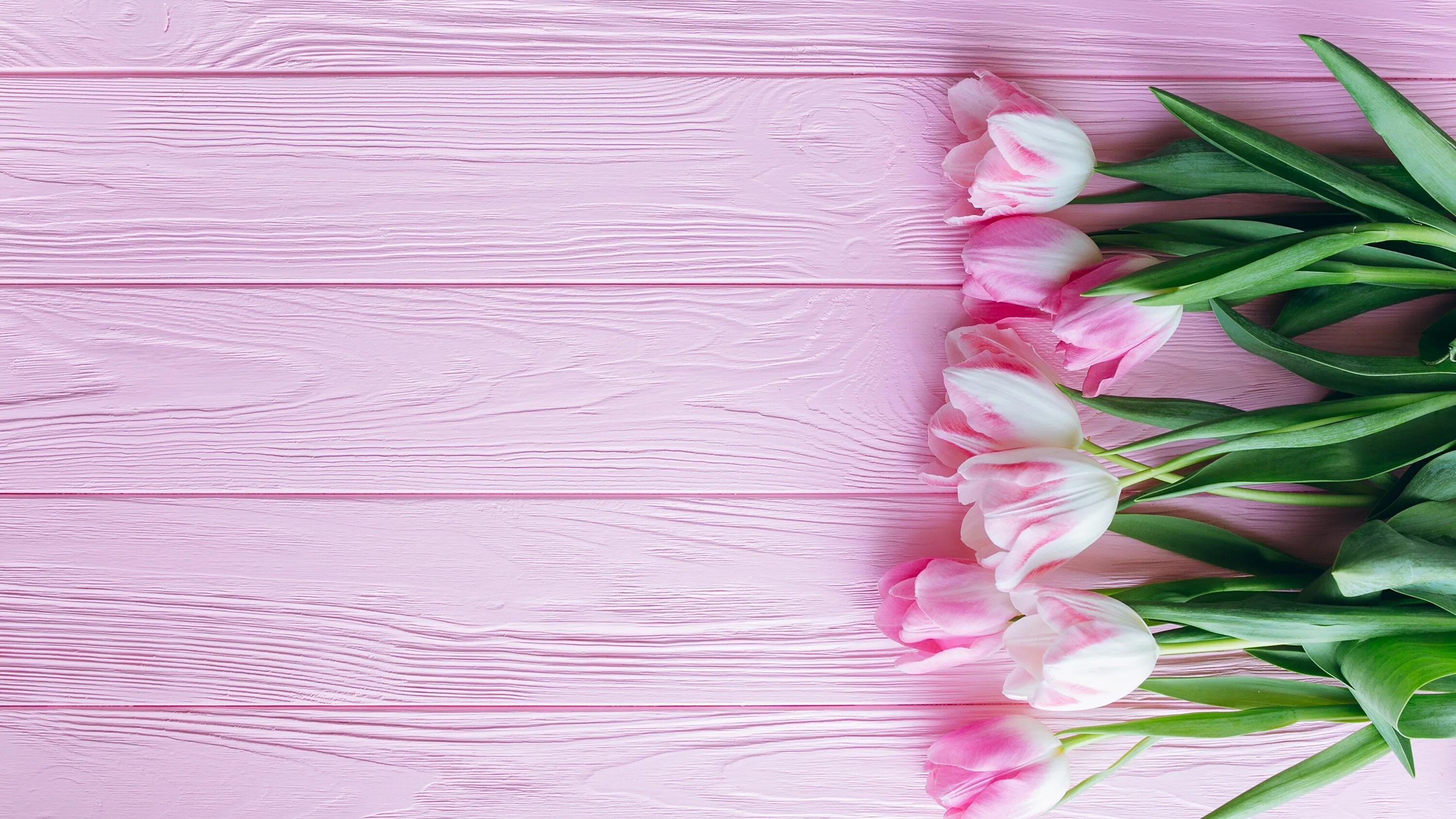 Картинка а4 цветы. Розовые тюльпаны. Фон цветы. Цветы на фоне досок. Цветы на деревянном фоне.