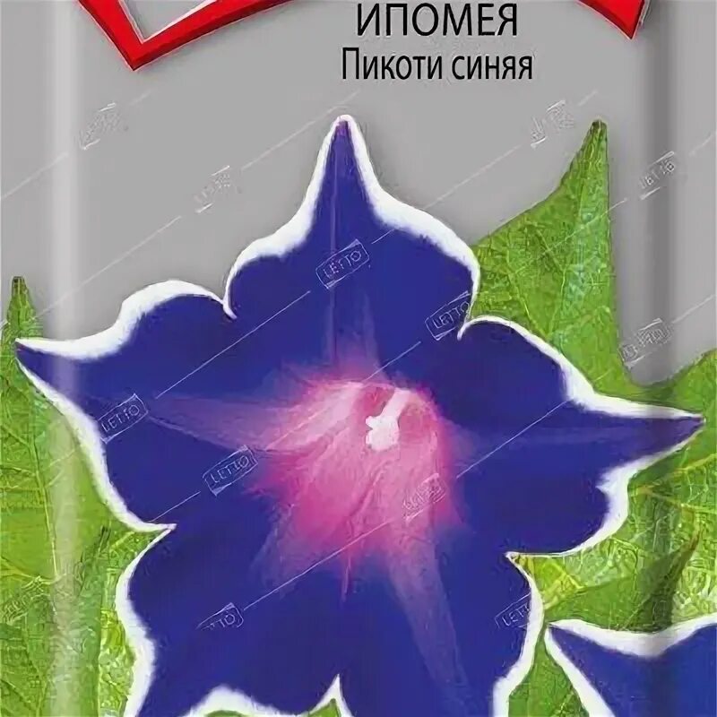 Сорта ипомеи под запретом