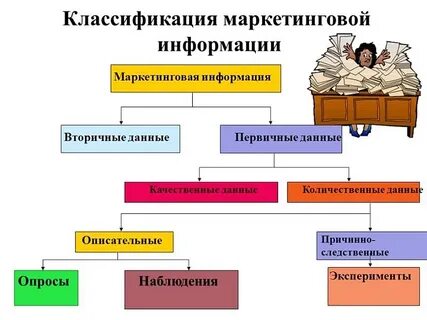 Первичная информация виды