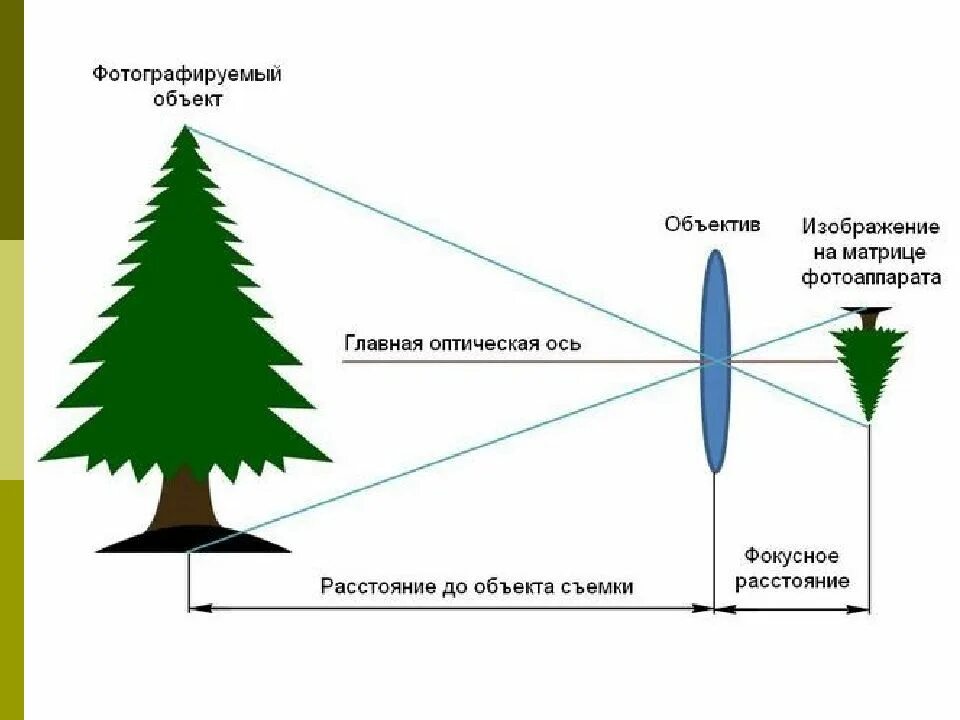 Как сделать приближение объекта. Расстояние от объектива до объекта. как определяется фокусное расстояние. фокусное расстояние объектива. фокускусное расстояние.