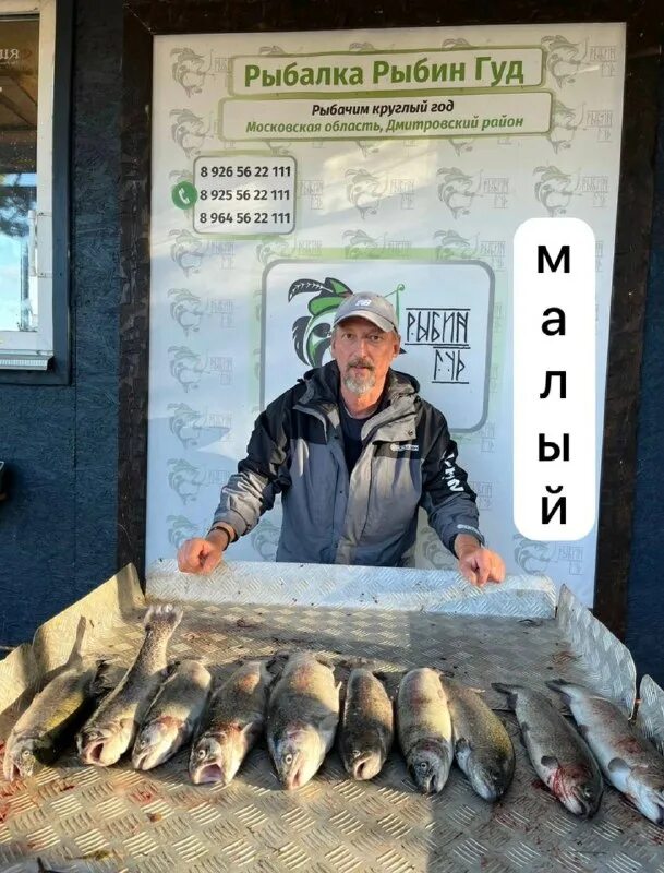 рыбин гуд форум. рыбин гуд форум. рф красноярск. Ru. рыбин гуд форум.