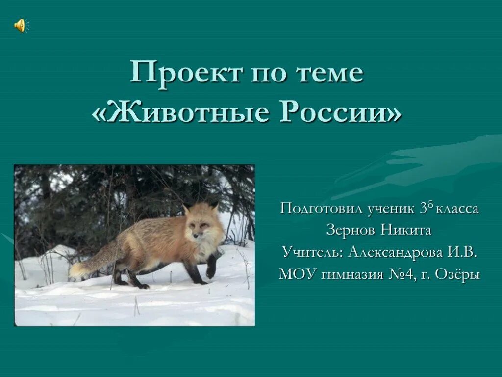 Проект 4 класса животные. Проект животные. проект на тему животные. презентация по теме животные. проект животные россии.