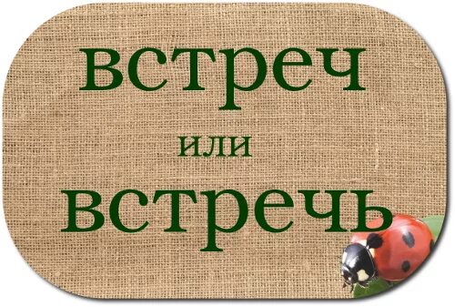 Шел на встречу как пишется. Встречь или встреч как правильно. Как пишется слово встречь или встреч. Много встречь или много встреч. Нет встречь или нет встреч.