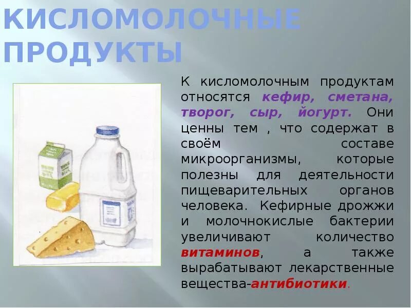 Сообщение о кисломолочных продуктов. Доклад кисломолочные продукты. Полезные качества кисломолочных продуктов. Презентация на тему кисломолочные продукты. Дрожжи используются человеком для производства кисломолочных