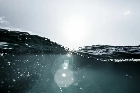 Loving ocean