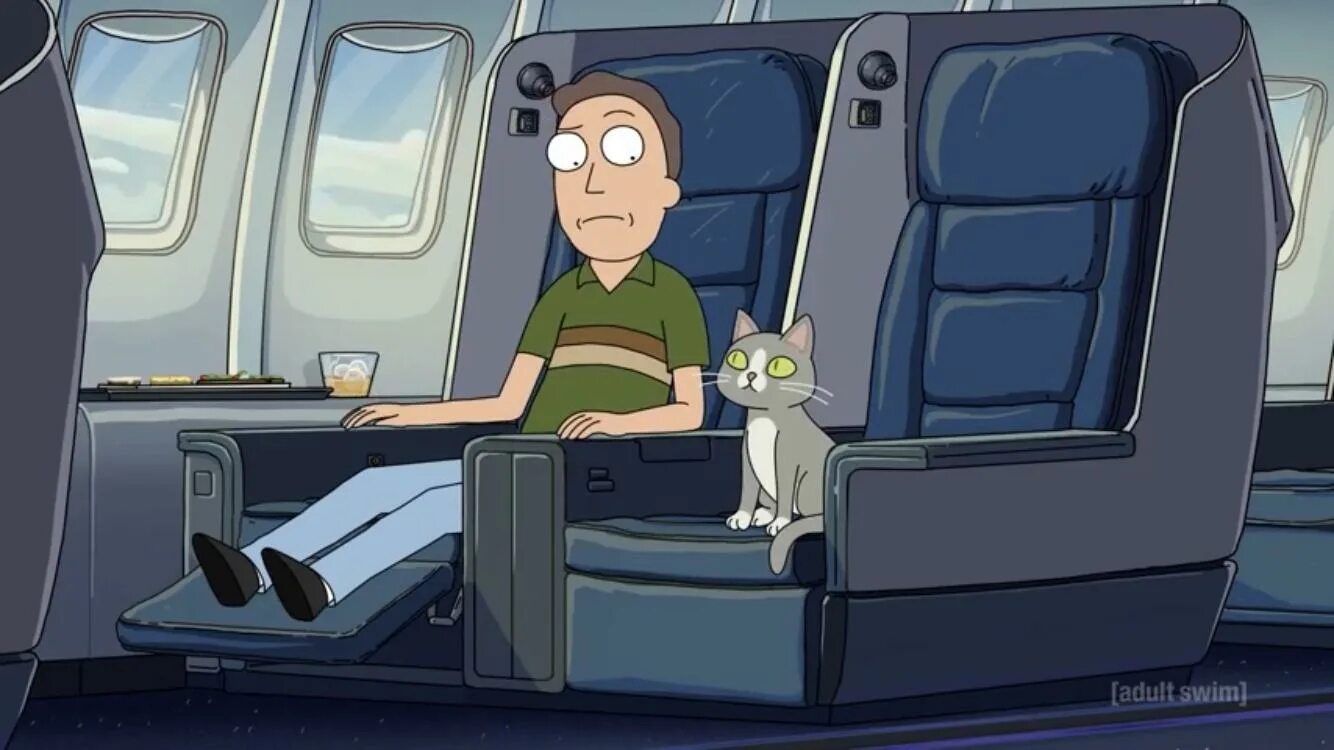 говорящий кот рик и морти. кот в стиле рик и морти.