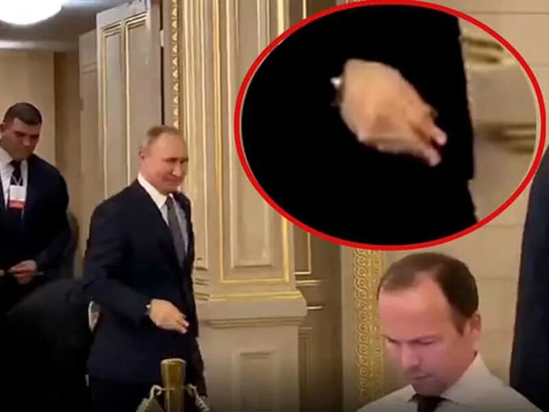 Выступление шамана где он нажал на кнопку