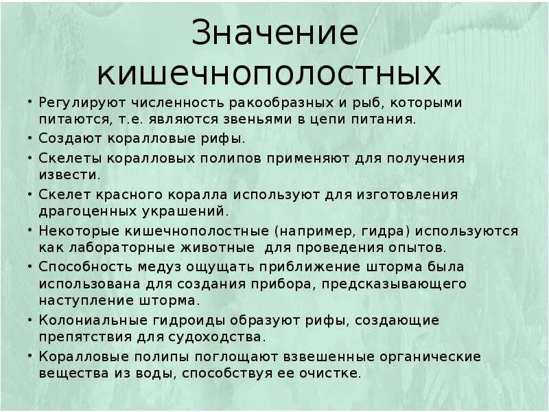 Сообщение многообразие кишечнополостных и их значение. Значение кишечнополостных в природе и в жизни человека. значение кишечнополостных в природе. роль кишечнополостных. значение кишечнополостных.
