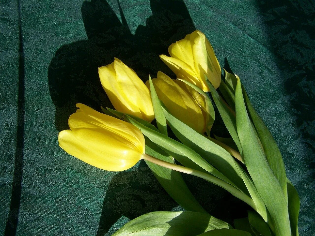 Почему тюльпаны желтеют. Букет желтых тюльпанов. Красивые букеты из желтых тюльпанов. Букет желтых тюльпанов в вазе. Букет желтых тюльпанов в руках.