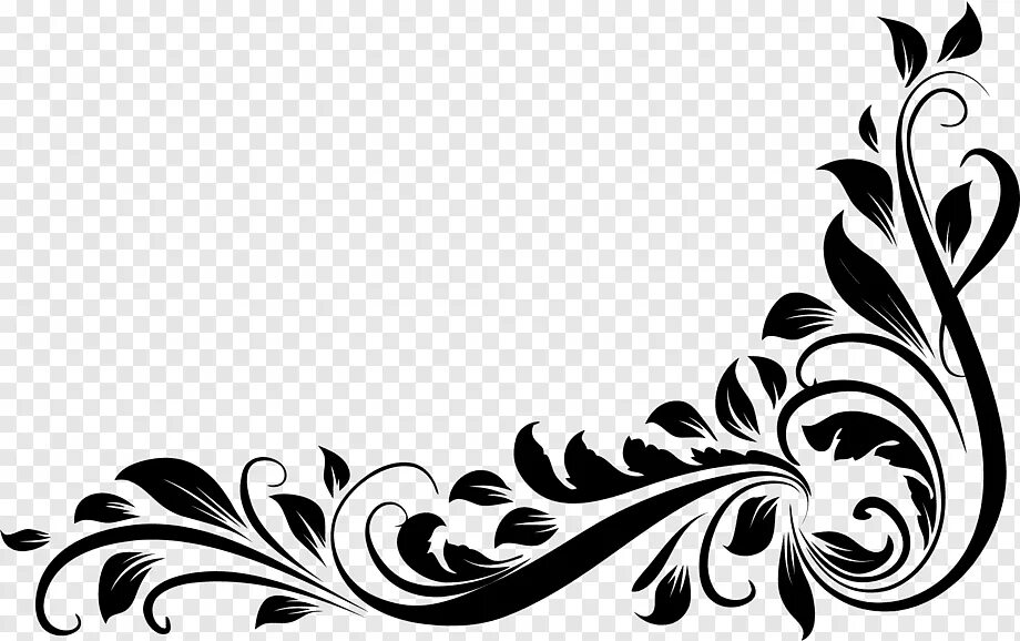 Images border img