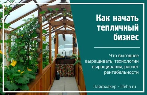 Бизнес план теплицы