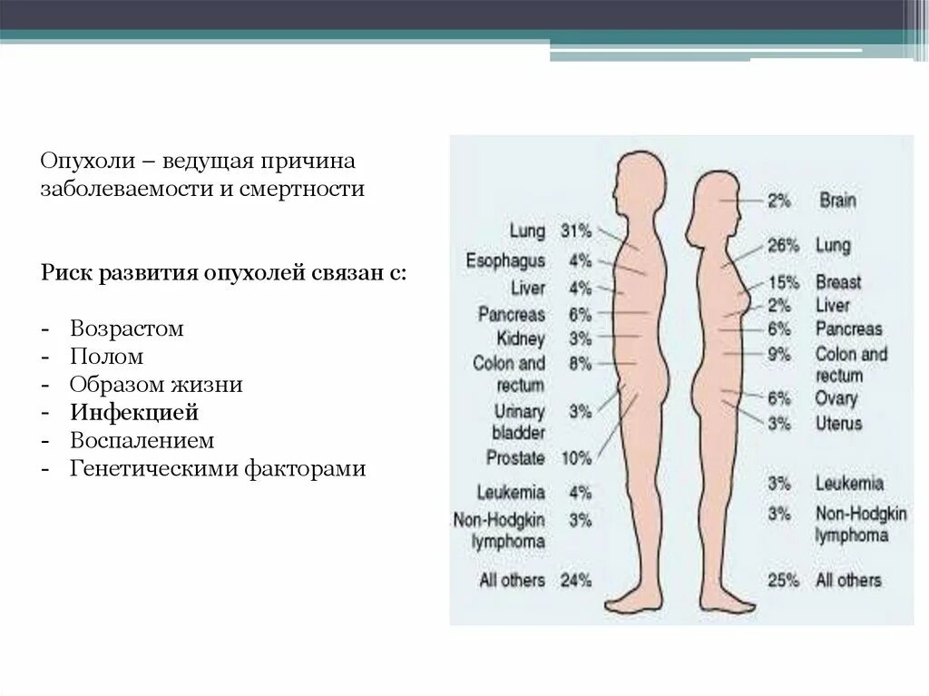 Причины развития опухолей. Причины новообразований. Каковы основные причины развития опухолей в организме человека. Физические причины опухоли. Причины рака у людей