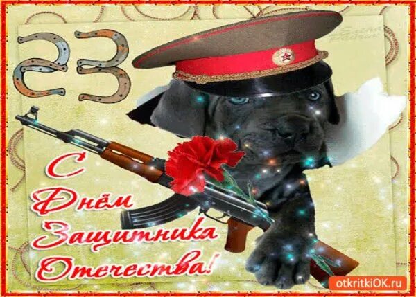 С днем защитника отечества с животными. С днем защитника отечества поздравления. открытки с 23 февраля красивые. открытка защитнику отечества. поздравление с 23 февраля мужчинам с собакой.
