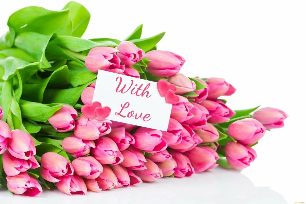 С днем рождения женщине красивые тюльпаны поздравления. Тюльпаны открытка.