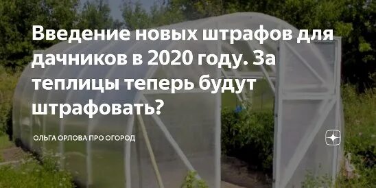 Новые штрафы для дачников в 2024 году. Штраф за теплицу. Теплица штраф. Штрафы для дачников. Дачников обложили штрафами.