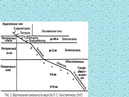 Вертикальная стратификация