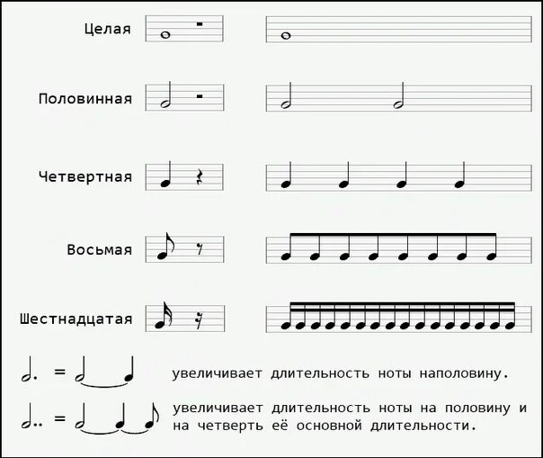 Длительность нот 2. Как записать ноты на нотном стане. обозначение нот на нотном стане для начинающих. четвертные ноты на нотном стане. обозначение длительности нот на нотном стане.