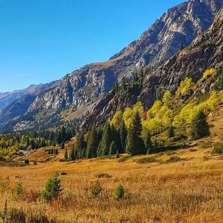 Природа казахстана сказуемое