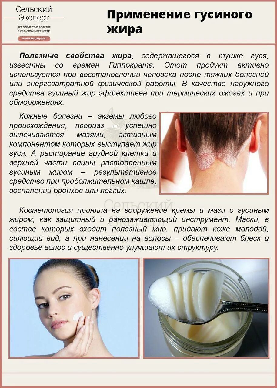 Как правильно гусиный жир. Гусиный жир. чем полезен гусиный жир. гусиный жир применение. полезен ли гусиный жир.