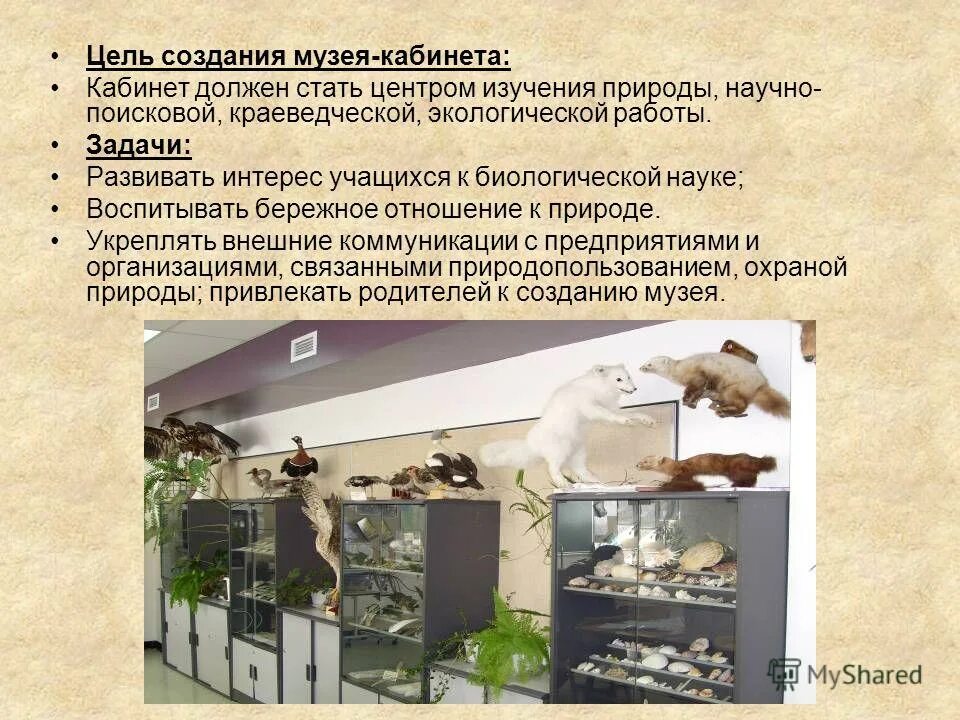 Интерактивные экспозиции в музеях. Презентация школьный музей. Краткое описание причин создания музея. История создания музея. Создается школьный музей.