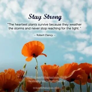 Stop reaching