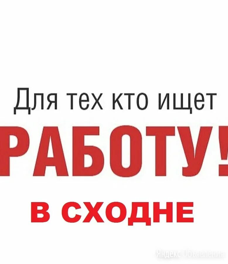 работа в химках вакансии. требуется водитель вакансия. водитель категории с. работа водителем в химках от прямых. работа водителем в химках от прямых.