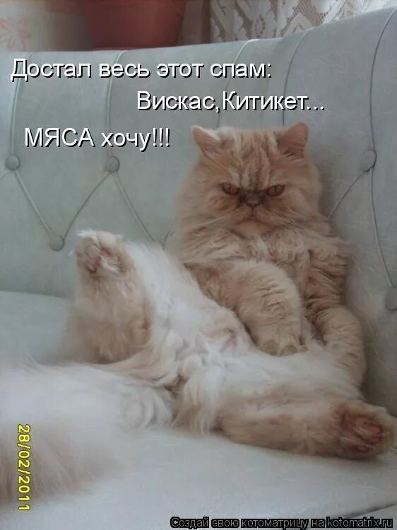 фото все достало. начинайте ссориться с людьми уже сейчас. сейчас ругаться. сейчас ругаться. начинайте ссориться с людьми.