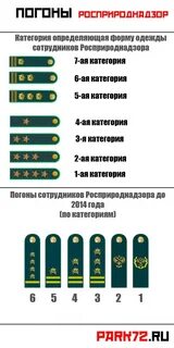 Новые классные чины