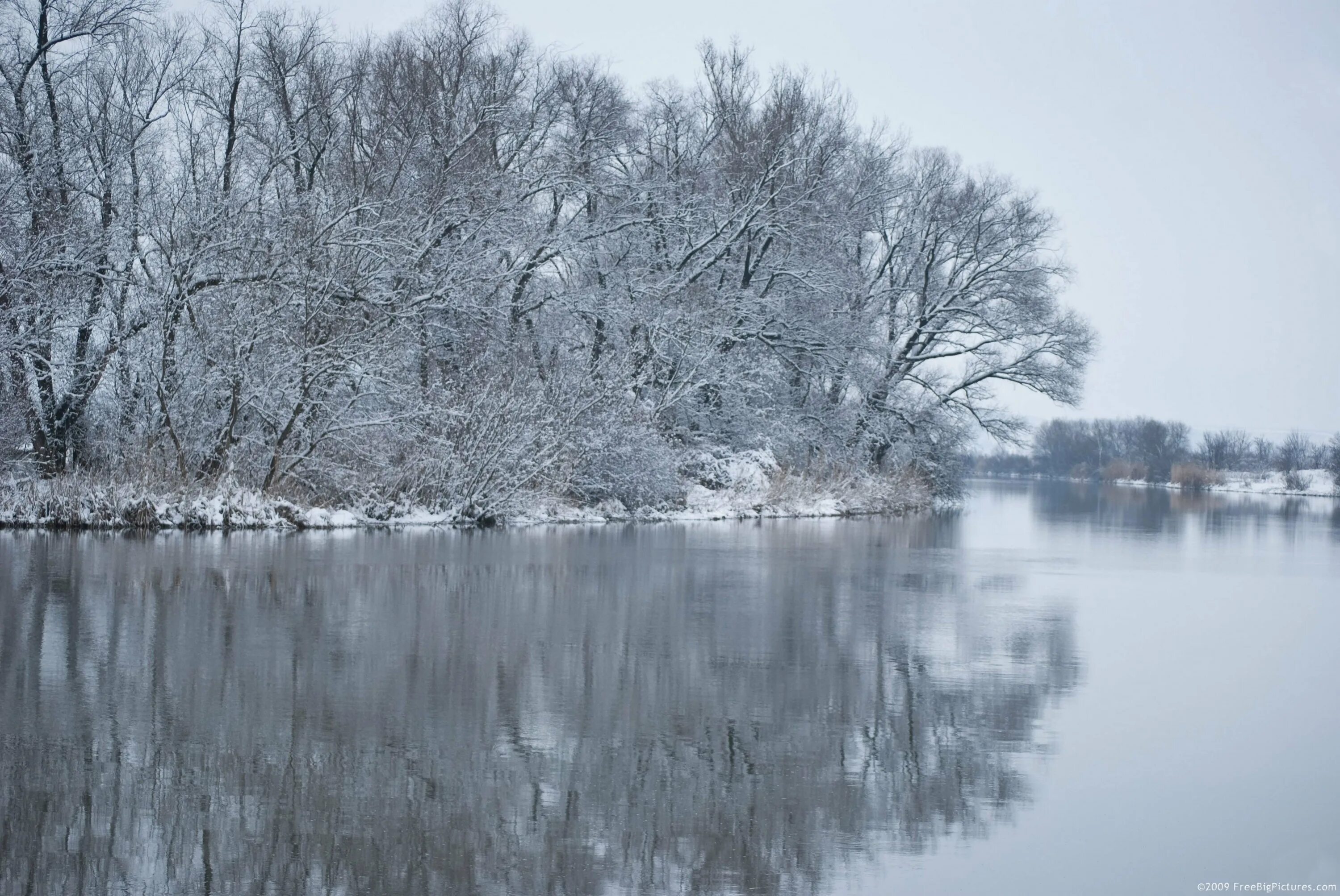 зимняя река полынья. озеро зимой. полынья. красивый зимний пруд. лес река зима нерская.