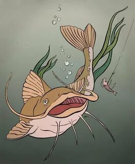 Рисунок сома