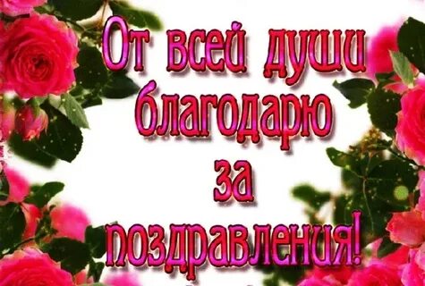 Друзьям благодарный слова