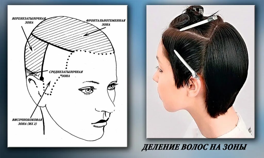 Волосы теменной объем