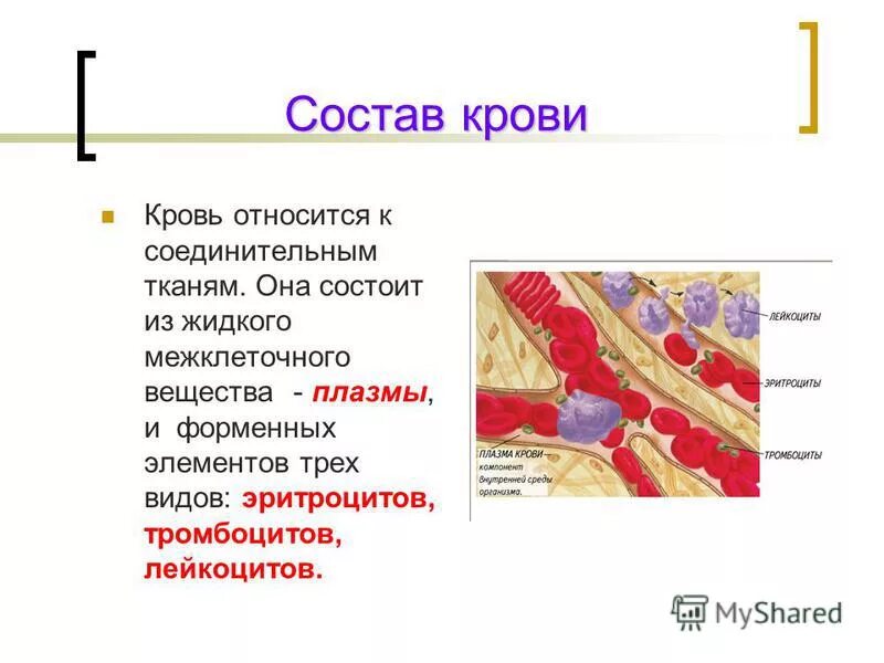 Лимфа тесты. Кровь состоит из. Из чего состоит кровь. Кровь и лимфа относятся к ткани. Межклеточное вещество крови состоит из.